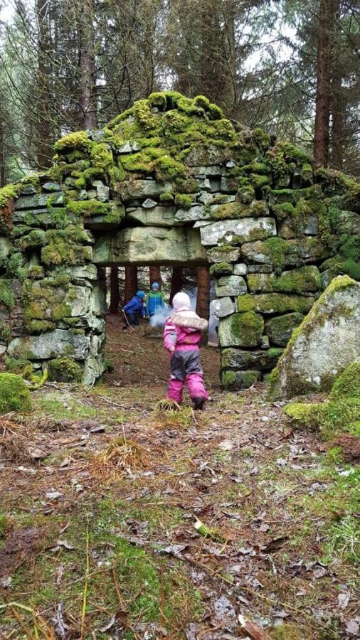 Orheimstunet - Gardsferie For Storfamilien Der Ogsa Hunden Er Velkommen Starheim Ngoại thất bức ảnh